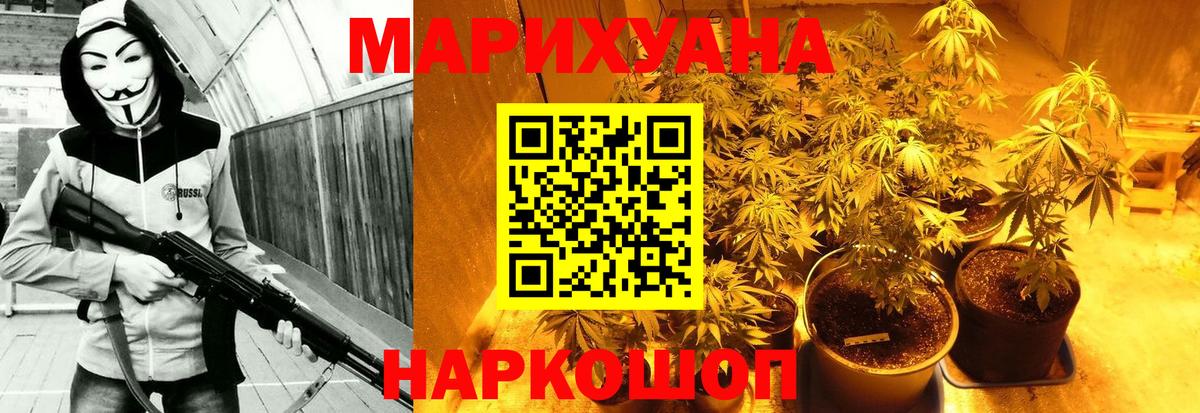 Бошки Шишки ГИДРОПОН  Каннабис гибрид  Вход с VPN  Каннабис сатива  Партизанск  МАРИХУАНА White Widow 